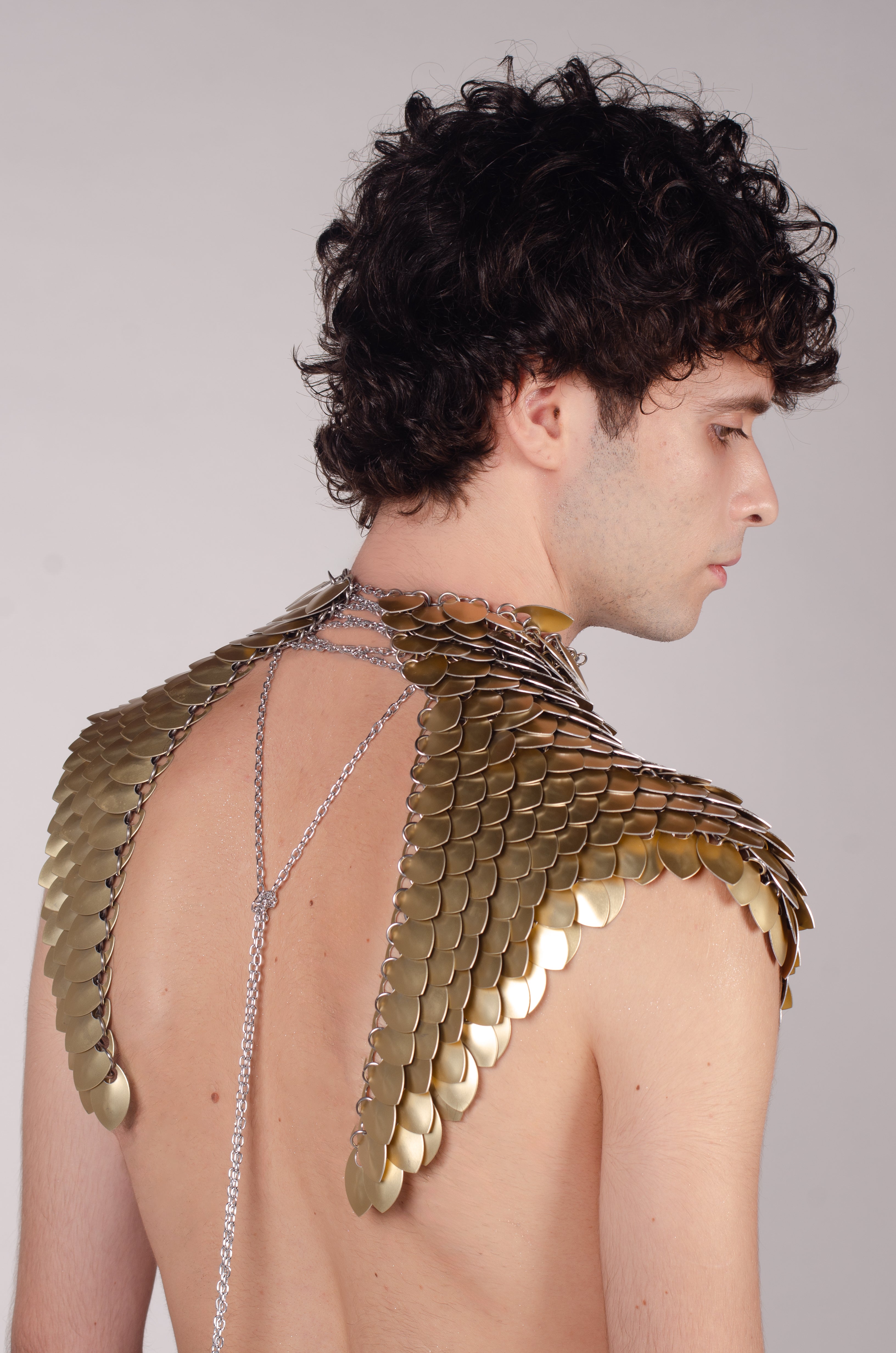 Seraph Wings